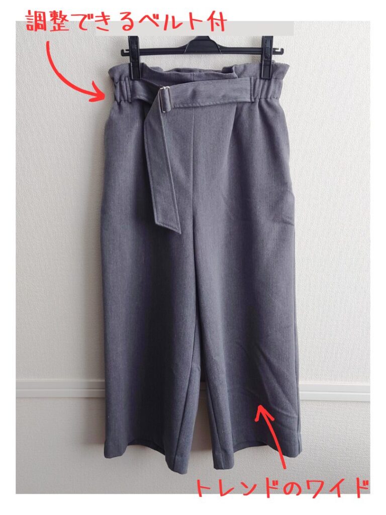 届いた服は程よいデザインで着心地もよい